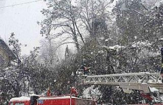 Çatıların üzerine düşen ağaçlara temizleme...