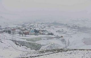 Çay üreticileri çaya kar yağmasından memnun