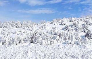 Çekerek’te kar kalınlığı 1 metreye yaklaştı