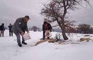 Çemişgezek’te yaban hayvanları için doğaya...