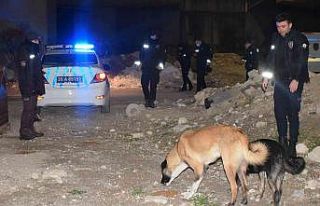 Çeşme polisinden can dostlara mama