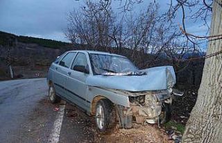 Ceviz ağacına çarpan aracın sürücüsü ağır...