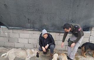 Çevre, doğa ve hayvan polisinden sokak hayvanlarına...