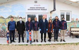 Çiftlikköy Belediyesi’nden sokak hayvanları için...