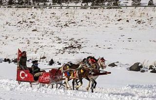 Çıldır Gölü’nde renkli görüntüler
