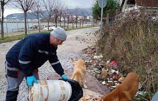 Çınarcık’ta sokak hayvanlarına mama bırakıldı