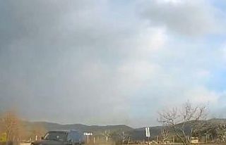 Cipin otomobil ile çarpışmasına metreler kaldı,...