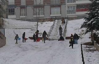 Çocuklar karın tadını kayarak çıkardı