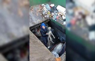 Çöp ayrıştırma makinesine düşen köpek kurtarıldı