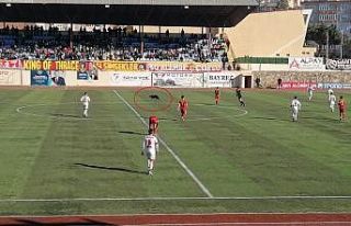 Çorlu’daki maçta sahaya giren köpek gülümsetti