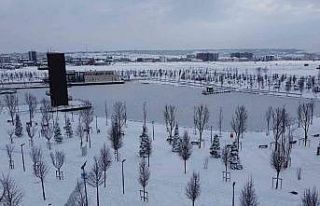 Çorum buz kesti: Millet bahçesindeki gölet dondu