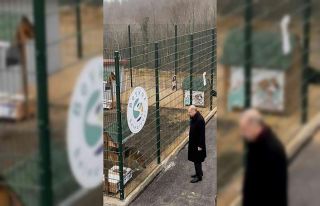 Cumhurbaşkanı Erdoğan, Beykoz hayvan barınağını...