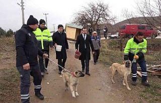 Cumhurbaşkanı talimat vermişti, sokaktan sahiplenilen...