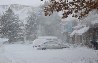 Darende’de de kar hayatı olumsuz etkiliyor