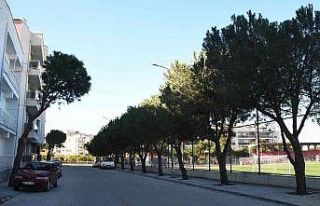 Davutlar Mahallesi’nde alt ve üst yapı çalışmaları...
