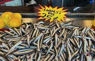 Deniz soğudu, balık bollaştı