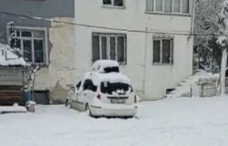 Denizde değil karda yüzdü