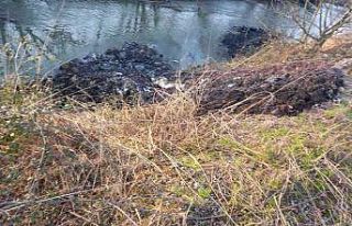 Dere kenarına dökülen atıklar mahalleliyi bıktırdı