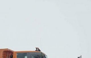 Develi-Adana yolu kar yağışı nedeniyle trafiğe...