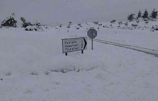 Diyaliz hastasını UMKE ekipleri, kapalı köy yolunu...