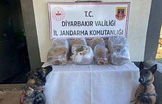 Diyarbakır’da otobüsün bagajında taşınan mini...