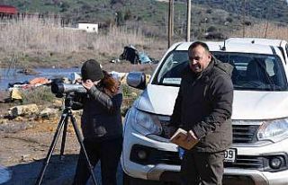 DKMP’den kış ortası su kuşu sayımı