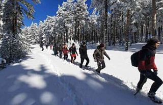 Doğa tutkunlarından Sündiken Dağları’nın eşsiz...
