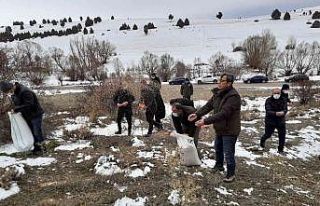 Doğadaki hayvanlara yem bırakıldı