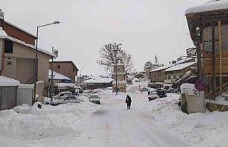 Doğalgaz verilemeyen Çelikhan dondu