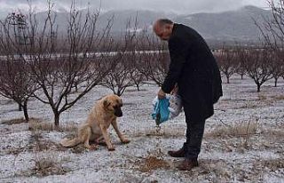 Doğanşehir’de sokak hayvanlarını unutmadı