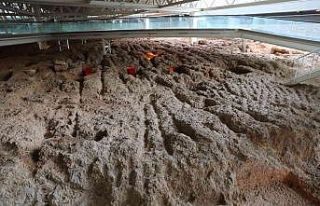 Doğu Garajı Nekropol Alanı müze oluyor