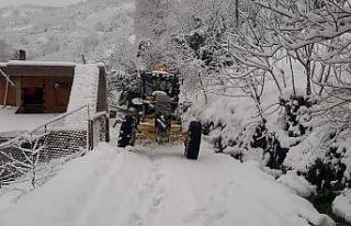 Doğu Karadeniz’de bin 102 köy ve mahalle yolu...