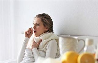 Domuz gribi KKTC’de yayılmaya devam ediyor