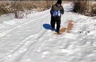 Donan gölde yiyeceksiz kalan yaban hayatının yardımına...