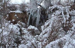 Donduran soğuğa şelale de dayanamadı