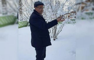 Donmak üzere olan kumruya işletme müdürü sahip...