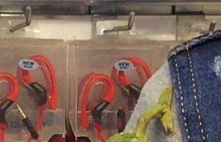 Donmaktan kurtardığı bukalemunu görenler şaşırıyor