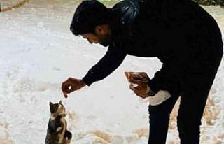 Dönüp gitmek yerine onları beslemek için yiyecekle...