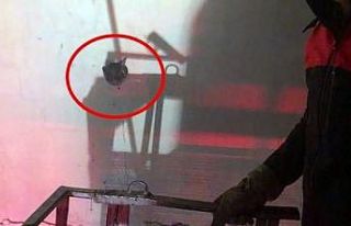 Duvar içinde başı deliğe sıkışan kedi itfaiye...