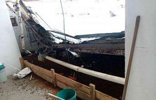 (Düzeltme) Kara dayanamayan çiftlik çatısı çöktü:...