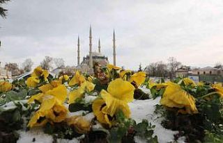 Edirne’de nehirler, yollar ve süs havuzları buz...