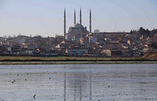 Edirne’de suyla kaplı tarlalar buz tuttu
