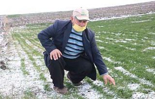 Edirneli çiftçilerin yüzü yağan karla güldü