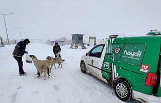 Elazığ polisi sokak hayvanlarını unutmadı