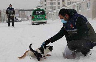 Elazığ’da ’HAYDİ’ polisleri sokak hayvanlarını...