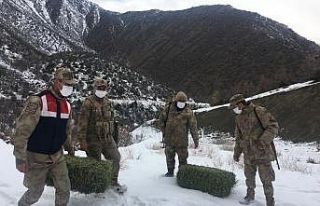 Elazığ’da jandarma, yaban hayatı için doğaya...
