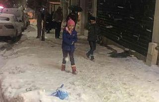 Elazığ’da kar etkisini tekrar gösterdi