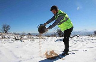 Elazığ’da sokak ve yaban hayvanları için 90...