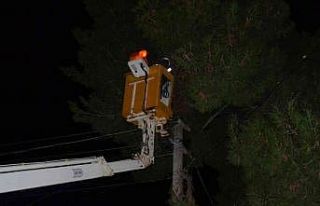 Elektrik direğinde kısa devre sonucu çıkan kıvılcımlar...