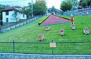 Elit mekanların gözde çileği bu yıl 550 ton üretildi